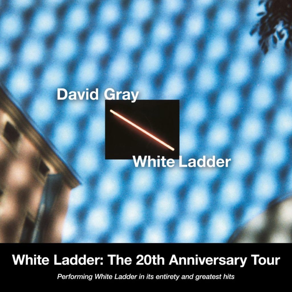 DAVID 782261643294479